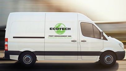 Our Pest-Free Guarantee